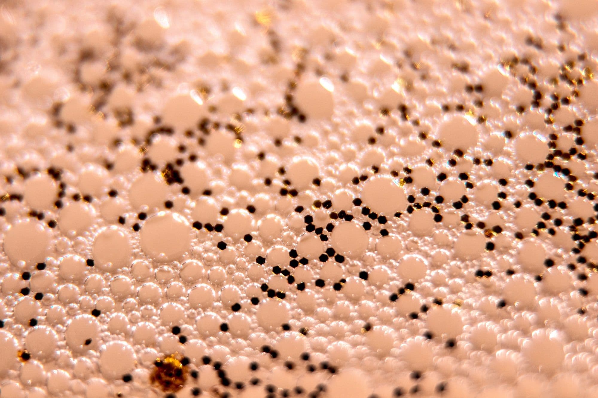 Método de Dermatologia Estrutural em 4 fases anuais: Preparação, Renovação, Sustentação e Manutenção. O design limpo e sofisticado ilustra o planejamento estratégico para o gerenciamento do envelhecimento facial natural, priorizando a saúde da pele e a harmonia das proporções sem excessos