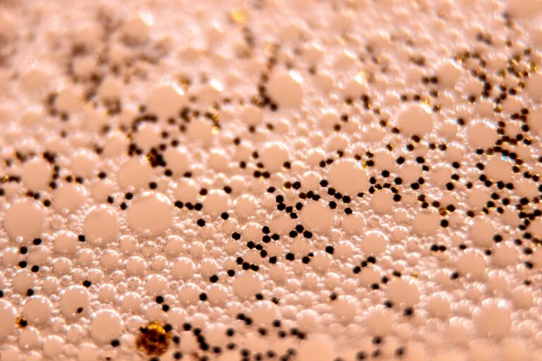 Método de Dermatologia Estrutural em 4 fases anuais: Preparação, Renovação, Sustentação e Manutenção. O design limpo e sofisticado ilustra o planejamento estratégico para o gerenciamento do envelhecimento facial natural, priorizando a saúde da pele e a harmonia das proporções sem excessos